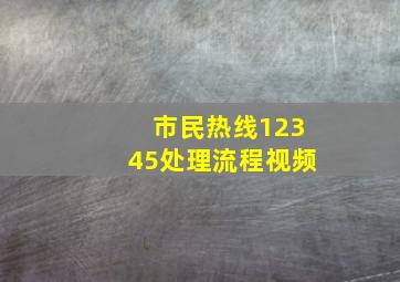 市民热线12345处理流程视频