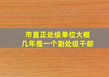 市直正处级单位大概几年推一个副处级干部