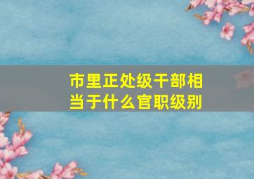 市里正处级干部相当于什么官职级别