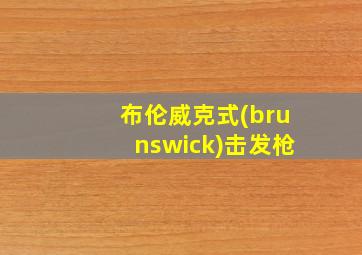 布伦威克式(brunswick)击发枪