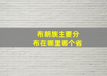 布朗族主要分布在哪里哪个省