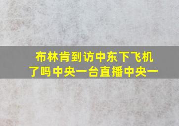 布林肯到访中东下飞机了吗中央一台直播中央一