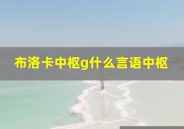 布洛卡中枢g什么言语中枢