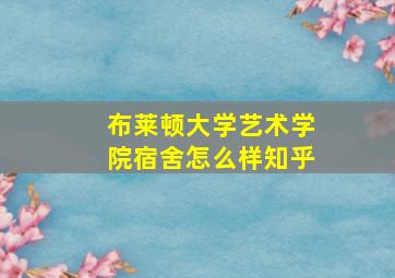 布莱顿大学艺术学院宿舍怎么样知乎