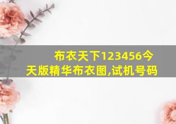 布衣天下123456今天版精华布衣图,试机号码