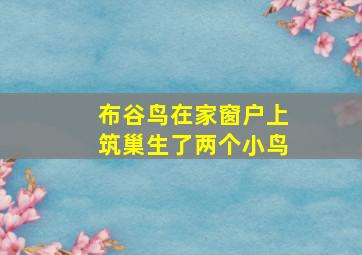 布谷鸟在家窗户上筑巢生了两个小鸟