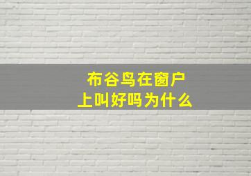 布谷鸟在窗户上叫好吗为什么