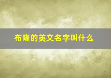 布隆的英文名字叫什么