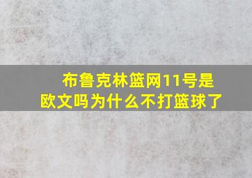 布鲁克林篮网11号是欧文吗为什么不打篮球了