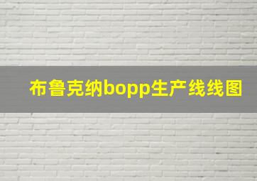 布鲁克纳bopp生产线线图