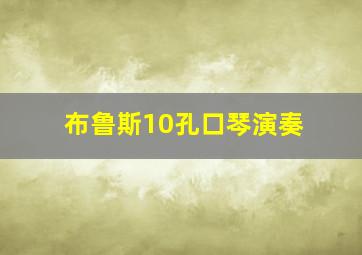 布鲁斯10孔口琴演奏