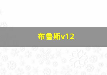 布鲁斯v12