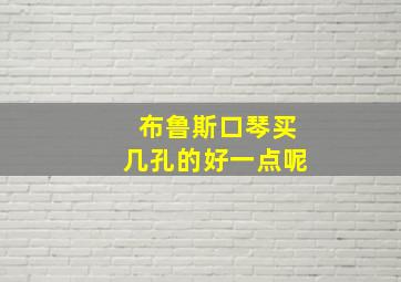 布鲁斯口琴买几孔的好一点呢