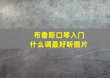 布鲁斯口琴入门什么调最好听图片