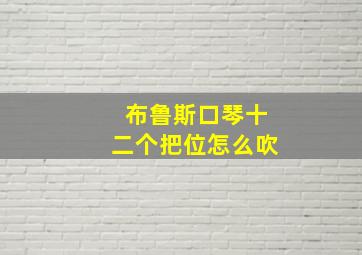 布鲁斯口琴十二个把位怎么吹