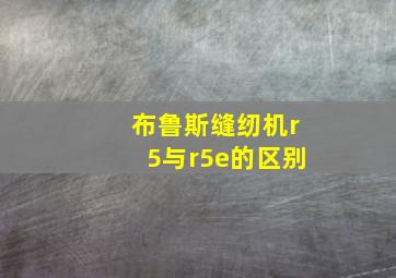 布鲁斯缝纫机r5与r5e的区别