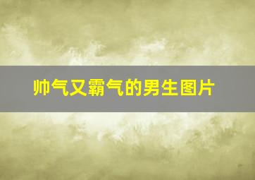 帅气又霸气的男生图片