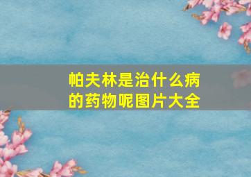 帕夫林是治什么病的药物呢图片大全