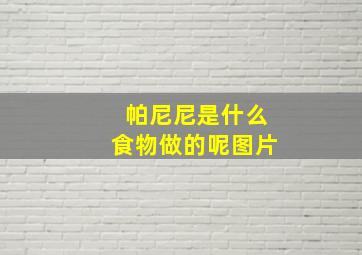 帕尼尼是什么食物做的呢图片