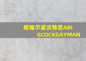 帕维尔诺沃特尼ABIGCOCKGAYMAN