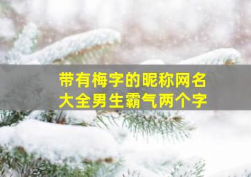 带有梅字的昵称网名大全男生霸气两个字