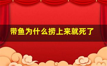 带鱼为什么捞上来就死了