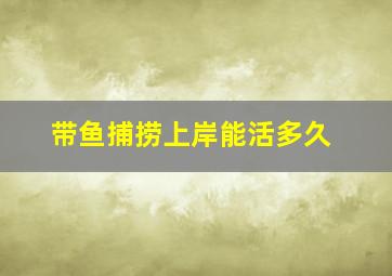 带鱼捕捞上岸能活多久