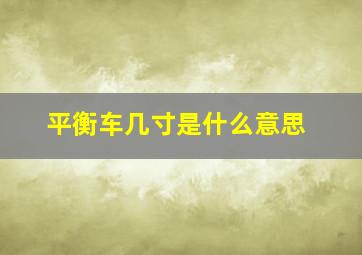 平衡车几寸是什么意思