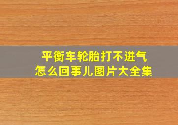 平衡车轮胎打不进气怎么回事儿图片大全集