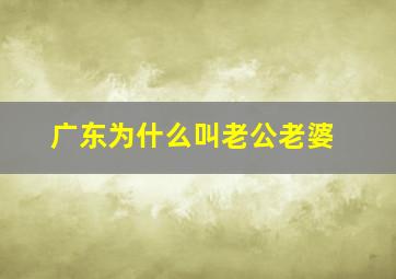 广东为什么叫老公老婆