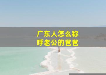 广东人怎么称呼老公的爸爸