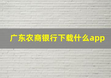 广东农商银行下载什么app