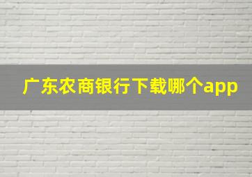 广东农商银行下载哪个app