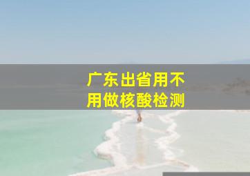 广东出省用不用做核酸检测