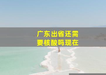 广东出省还需要核酸吗现在