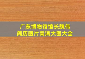 广东博物馆馆长魏伟简历图片高清大图大全