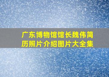 广东博物馆馆长魏伟简历照片介绍图片大全集