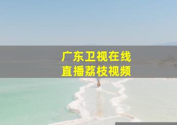 广东卫视在线直播荔枝视频