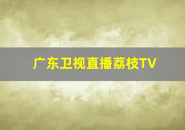 广东卫视直播荔枝TV