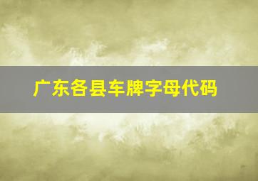 广东各县车牌字母代码