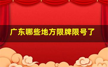 广东哪些地方限牌限号了