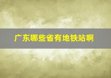 广东哪些省有地铁站啊