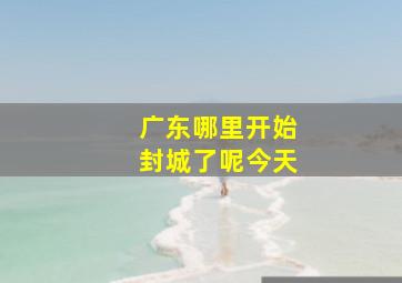 广东哪里开始封城了呢今天