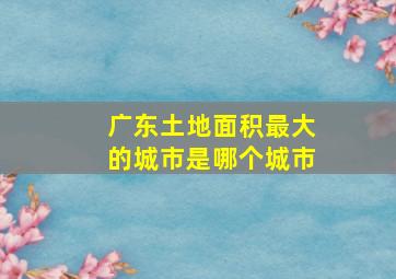 广东土地面积最大的城市是哪个城市