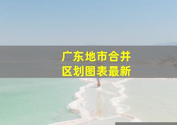 广东地市合并区划图表最新