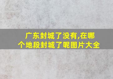 广东封城了没有,在哪个地段封城了呢图片大全