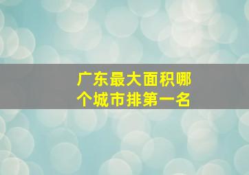 广东最大面积哪个城市排第一名