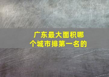 广东最大面积哪个城市排第一名的