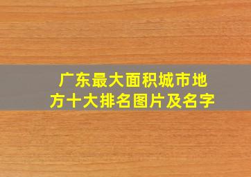 广东最大面积城市地方十大排名图片及名字