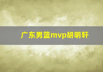 广东男篮mvp胡明轩